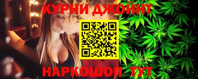 индика Будённовск