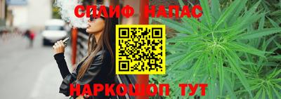 индика Будённовск