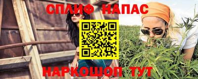 индика Будённовск