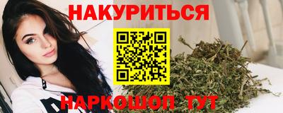 индика Будённовск