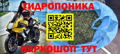 индика Будённовск