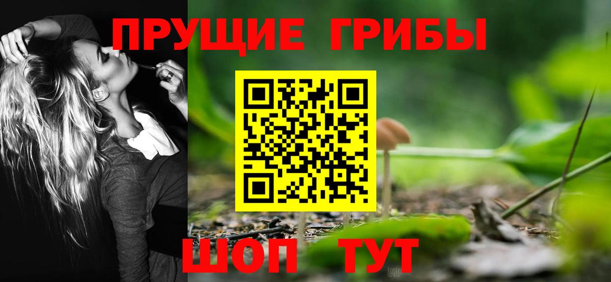 Псилоцибиновые грибы прущие грибы Петропавловск-Камчатский