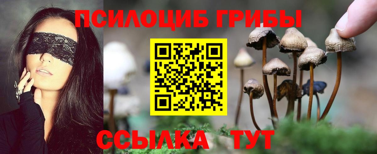 Псилоцибиновые грибы ЛСД  Галлюциногенные грибы GOLDEN TEACHER  Вход с VPN  Петропавловск-Камчатский 